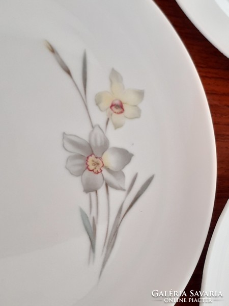Old bavaria porcelain small plate with daffodil pattern dessert 5 pcs