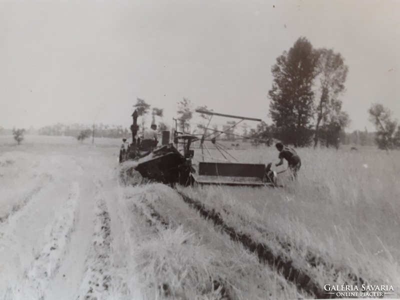 Old photo vintage photo farming harvest tractor 2 pcs