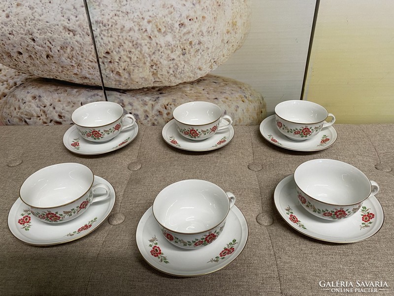 Freiberger German antique porcelain daisy teacups a31