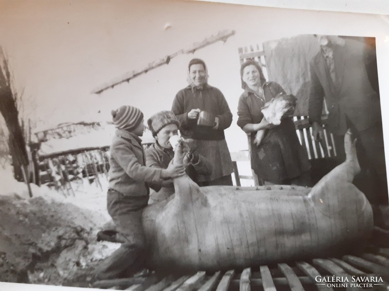 Old photo vintage rural life group picture pig slaughter photo 2 pcs