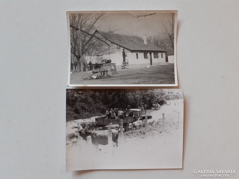 Régi fotó vintage vidéki életkép gémeskút állattartás fénykép 2 db