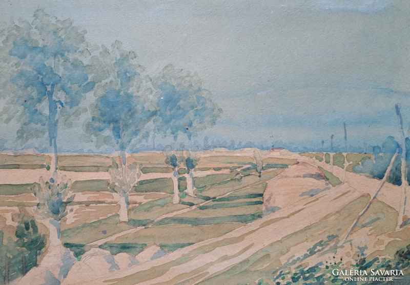 Fasor - watercolor with a modest mark (45x36 cm) rural landscape, dirt road