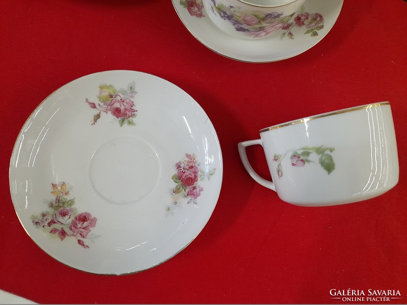 Moritz zdekauer altrohlau 1918-1939 flower pattern porcelain cup set.