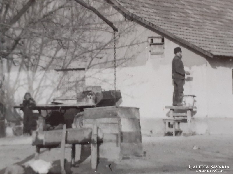 Régi fotó vintage vidéki életkép gémeskút állattartás fénykép 2 db