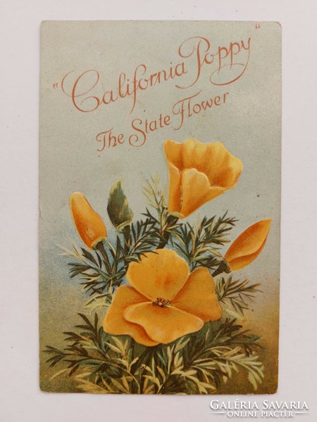 Old embossed postcard yellow floral postcard