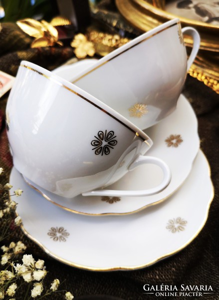 Charming colditz German tea set with golden flowers