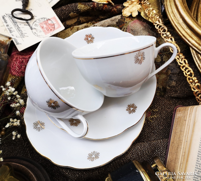 Charming colditz German tea set with golden flowers