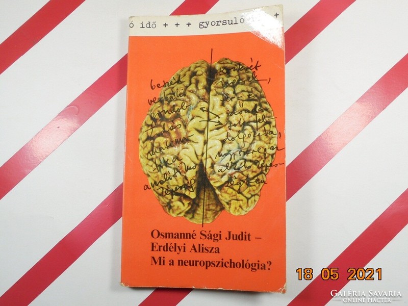 Osmanné Sági Judit, Erdélyi Alisza: Mi a neuropszichológia?