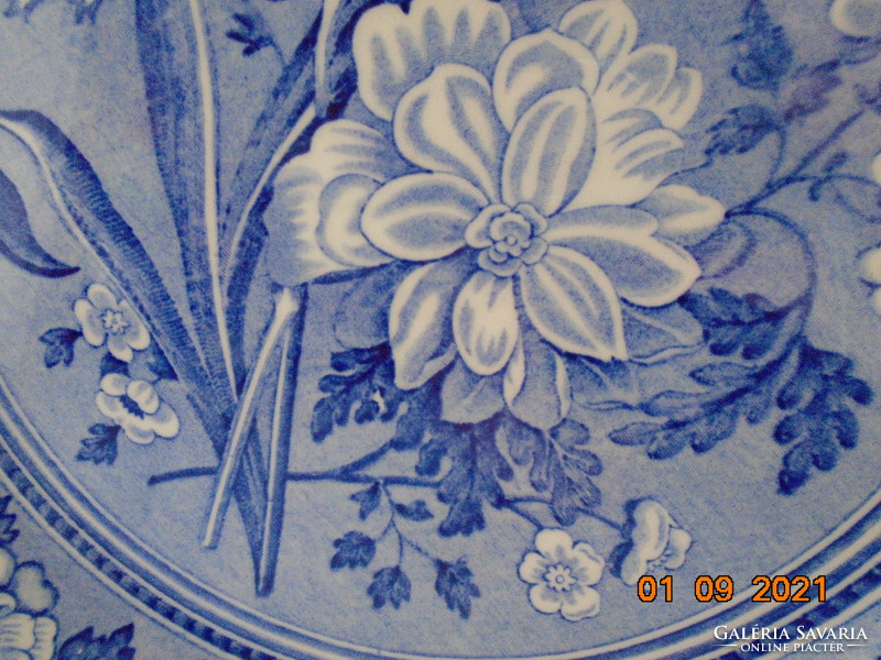 1820 SPODE "Botanical" Növénytani minta, nagy dísztál BLUE ROOM COLLECTION