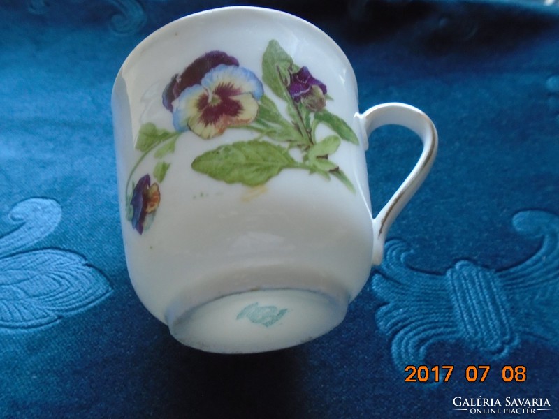 Imperial victoria austria cup with pansy pattern