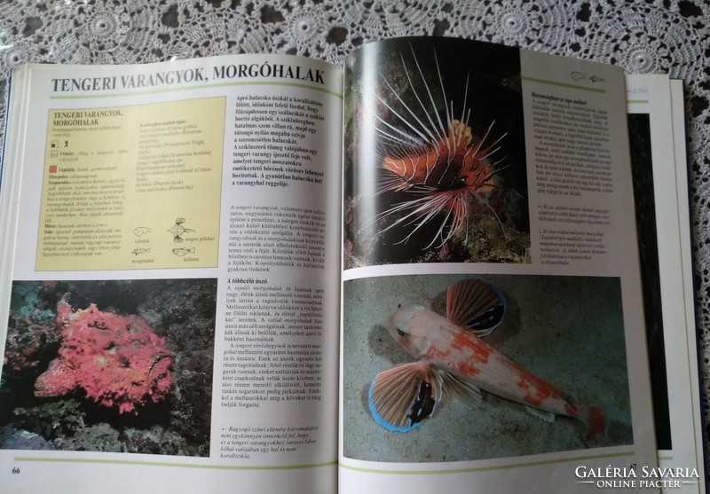 Encyclopedia of the animal world: fishes, negotiable
