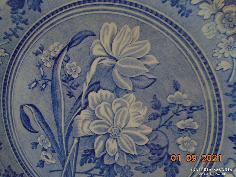 1820 SPODE "Botanical" Növénytani minta, nagy dísztál BLUE ROOM COLLECTION