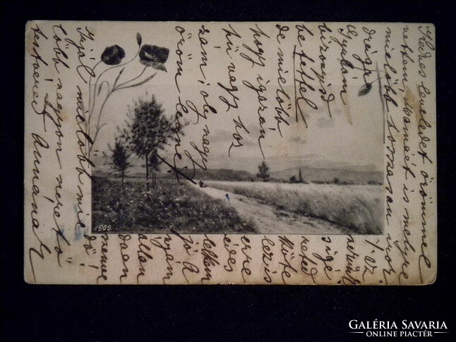 A020 Antik képeslap tájkép - 1905