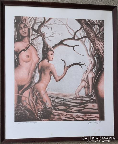 Fk/313 - Árpád Bari - spring metaphor - color lithograph (88/300)