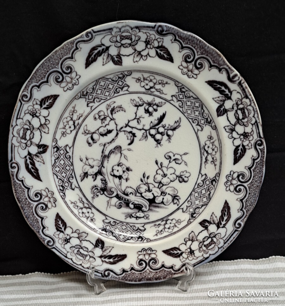 Antique ceramic plate collector's item