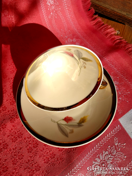 Graceful porcelain coffee cup with saucer