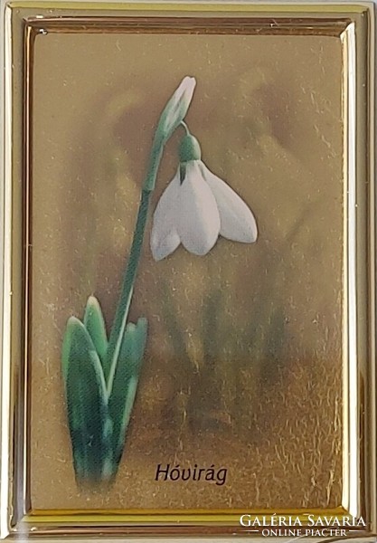Miniatűr aranykép, falikép aranyozott lemezre nyomtatva - Hóvirág
