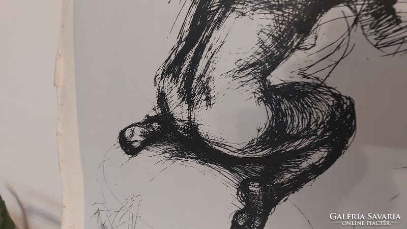 (K) high-quality ink drawing riding nude 61x43 cm, the entire page