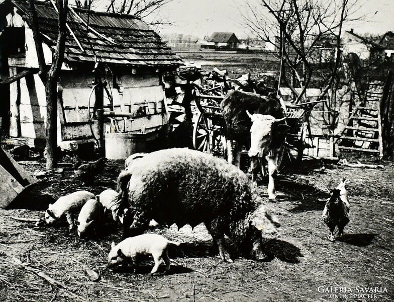 André Kertész (1894-1985) - Szelényi Károly (1943): Udvar, Esztergom 1915