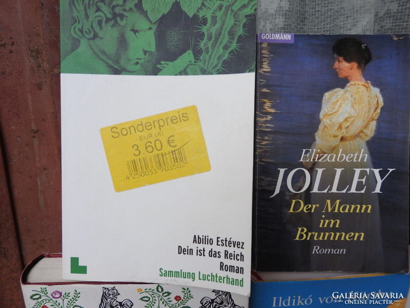 Német nyelvű  regények