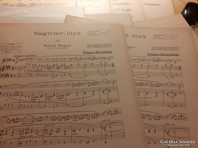 Zenekari kotta 1924 - Richard Wagner - Haensch: Sigfried - Idyll a.J.B. 7812