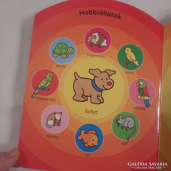 Első szótáram  Állatok  1-2 éveseknek  Alexandra 2010