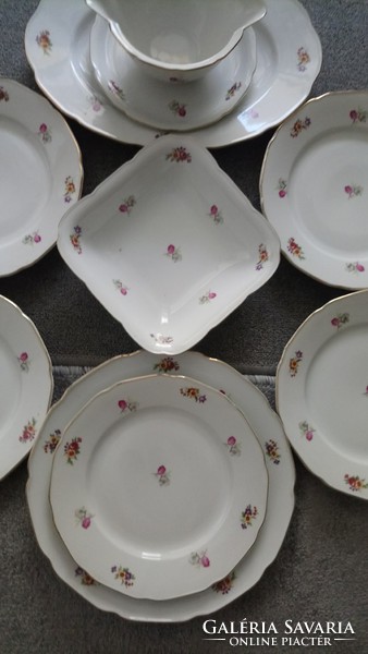 Antique dinnerware, flawless (bohemian brand)