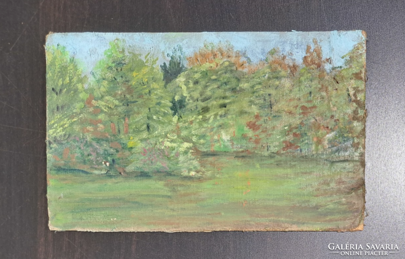 Tájkép fákkal (23x14, olajfestmény vászonra, kartonra kasírozott)