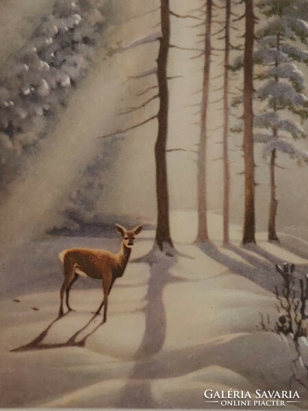 Régi karácsonyi képeslap 1963 levelezőlap havas erdő őzike
