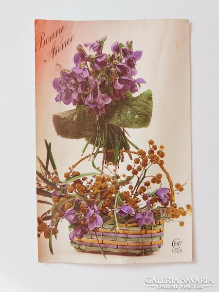 Old Christmas card postcard violet mimosa