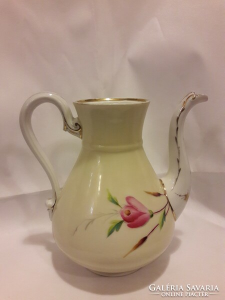 Antique museum bieder hand-painted tea coffee pouring pot cup gilded forget-me-not and flower b