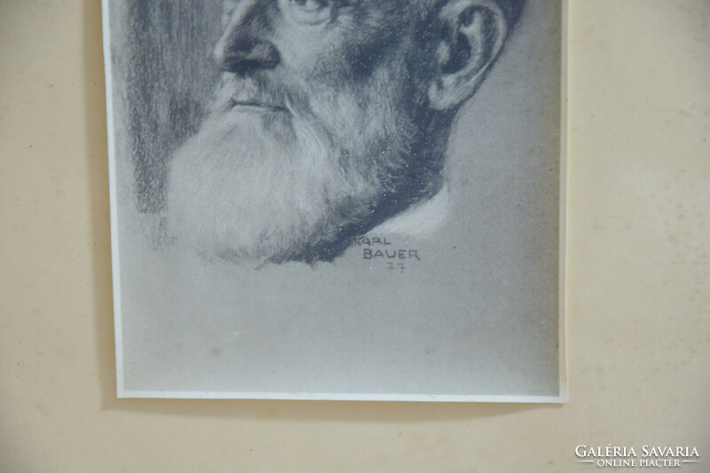 Karl bauer : self-portrait nice picture, old man