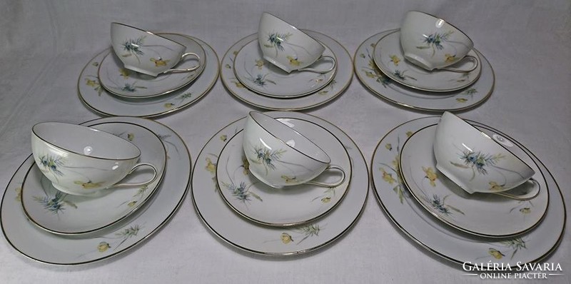 HUTSCHONREUTHER SELB Régi német szépséges virágmintás 6 személyes vékonyporcelán teás 18db-os szett