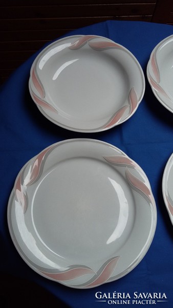 Two bavaria winterling porcelain deep resp. Flat plate