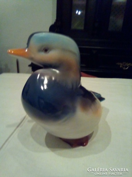 Raven house porcelain duck