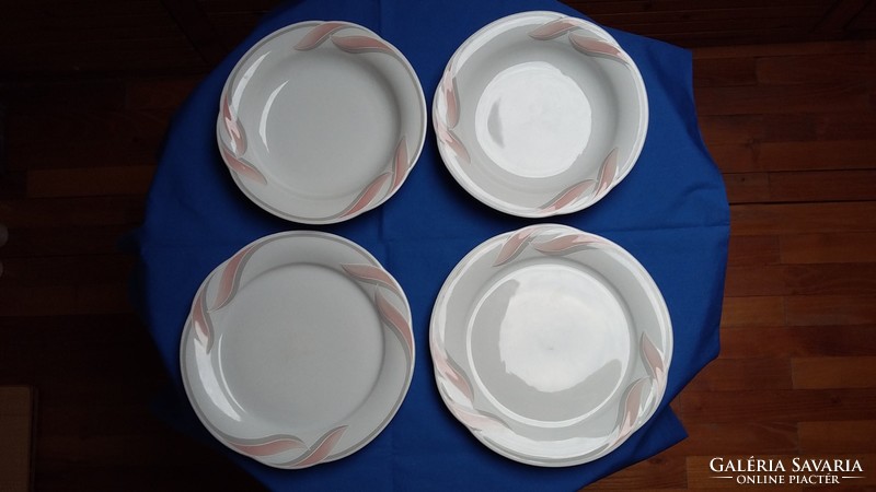 Two bavaria winterling porcelain deep resp. Flat plate