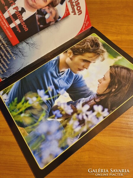 Twilight - new moon poster book with stickers