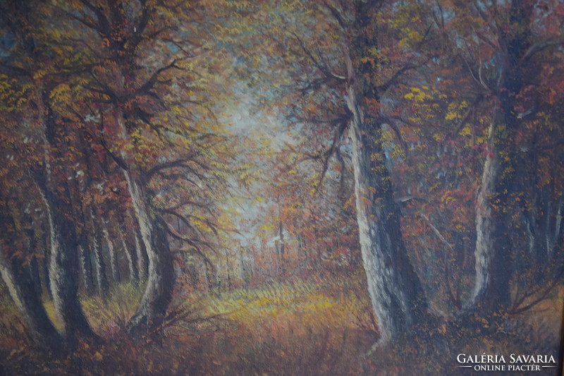 Beautiful painting wooded landscape imposing anywhere pleasant atmosphere