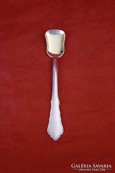 Silver ice cream spoon set (7 pieces)