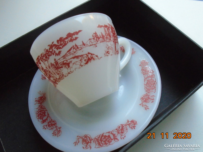 Set of circular panoramic pattern on the cup, floral pattern on the saucer, glass porcelain set