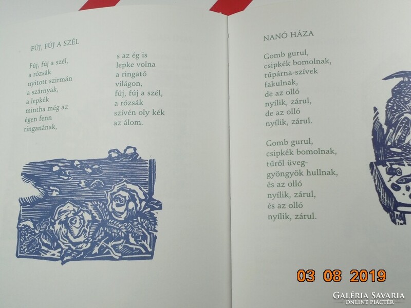 Anna Kiss: windy book - with drawings by Livius Gyulai