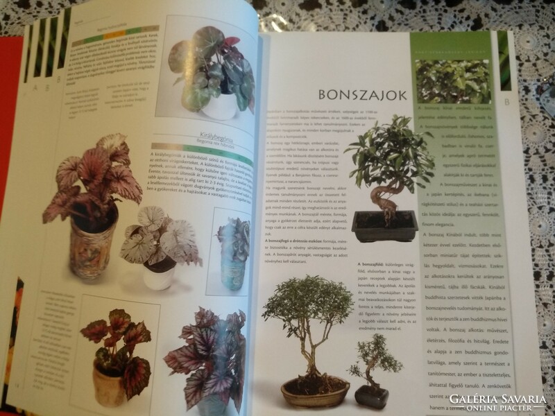 Váczi-nagy- dede- illyés: large houseplant lexicon, negotiable