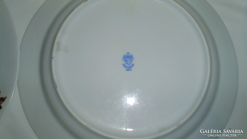 Plain porcelain plates with flowers - three deep and three flat - together - to make up for the shortage