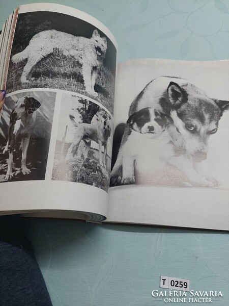 T0259 Nemzetközi kutya enciklopédia