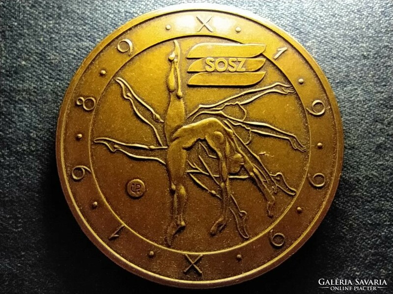SOSZ 1989-1999 bronz plakett  (id69664)