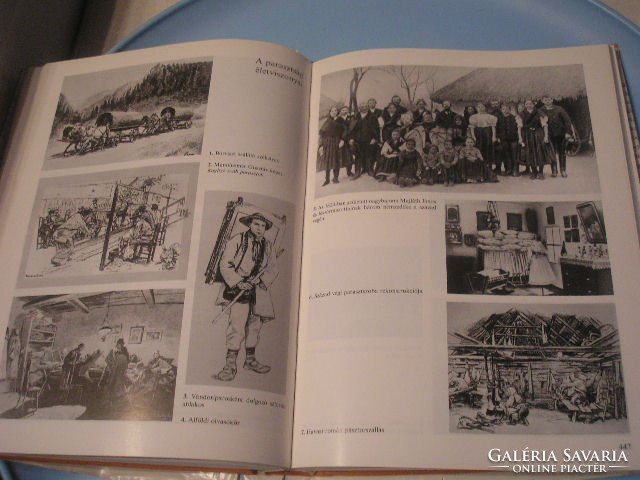 N6 history of hungary in pictures lexicon 750 pages. Thought for rent