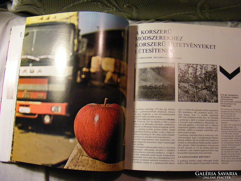 Zöldség- és gyümölcsgazdaság Magyarországon 1977