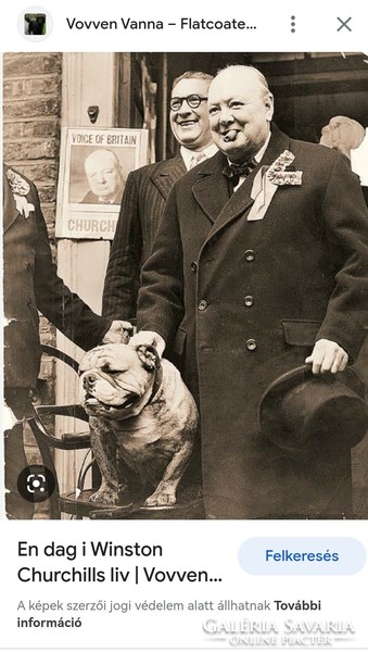 Bronz kutya szivarral márvány talpon.Buldog Winston Churchill kutyája!