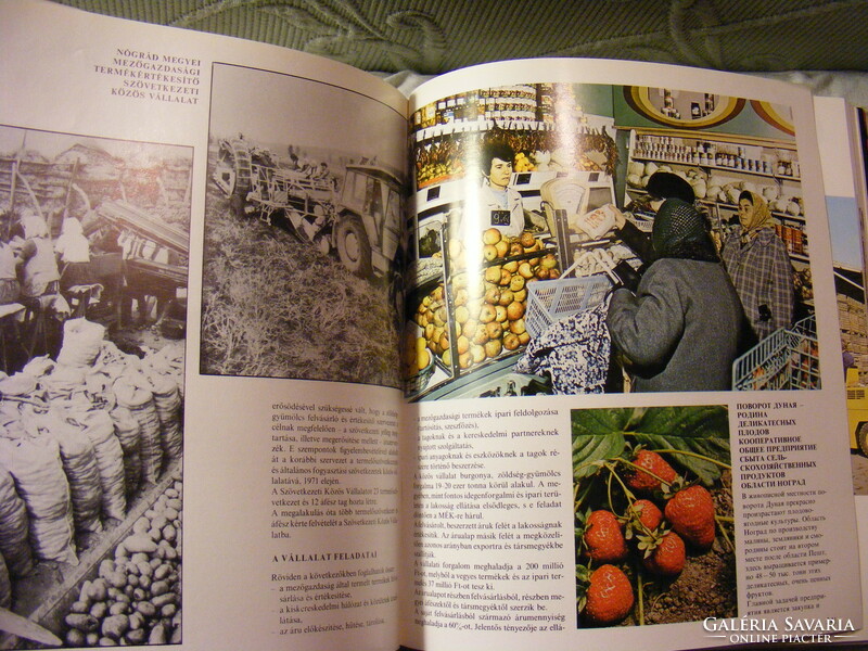 Zöldség- és gyümölcsgazdaság Magyarországon 1977