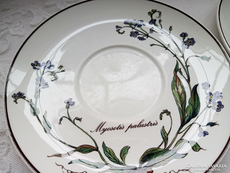 Villeroy & Boch Botanica csésze alátét tányérok 4db együtt 15cm